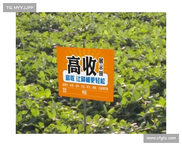 加拿大28游戏规则详解及技巧分享让你轻松玩转中奖概率